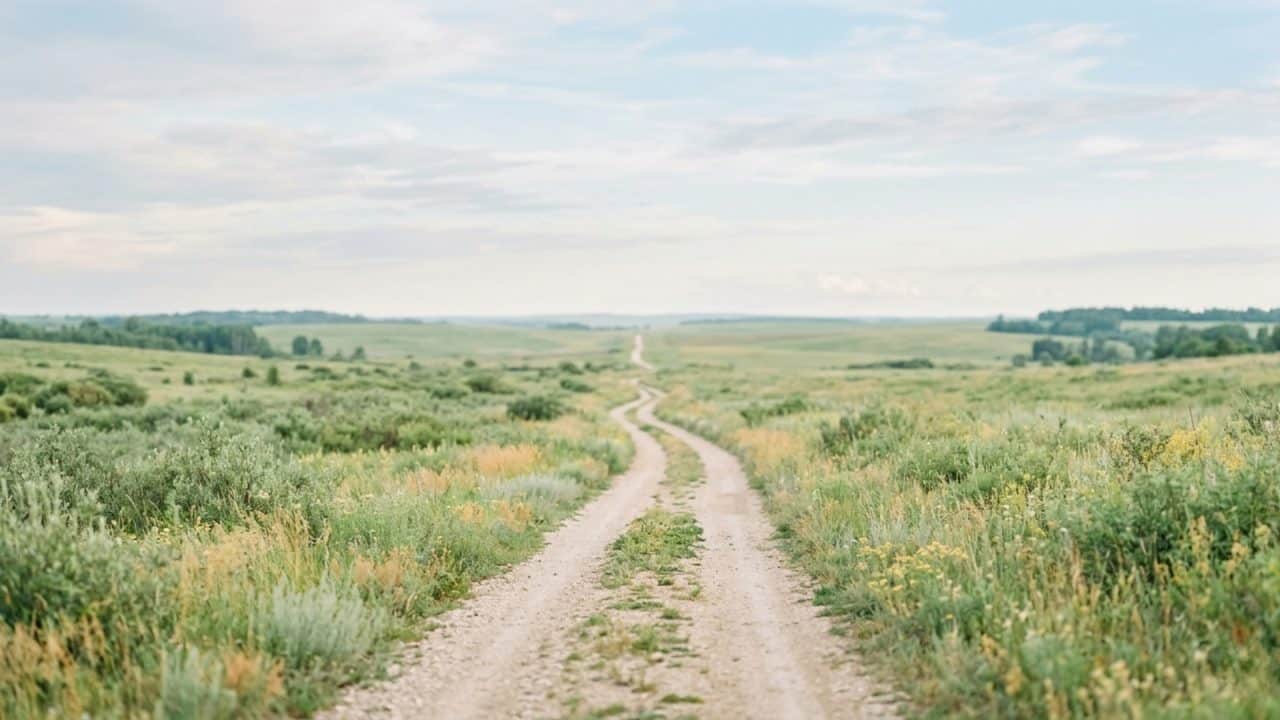 Rustig pad in de natuur als symbool voor herstel en energiebalans