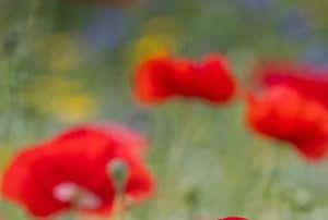test testachternaam